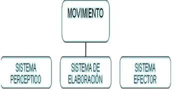 HISTORIA Y CARACTERÍSTICA DEL VOLEIBOL