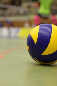 MATERIAL Y REGLAS BÁSICAS DEL VOLEIBOL