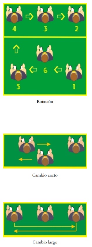 MATERIAL Y REGLAS BÁSICAS DEL VOLEIBOL